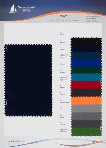 Образец ткани Рекорд. Цена от 199.00 в Санкт-Петербурге Образец ткани Рекорд. Цена от 199.00 в Санкт-Петербурге